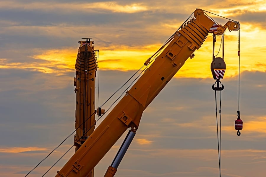 crane