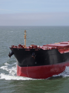Bulk carrier ship