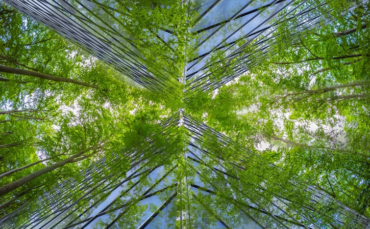 Sustainability