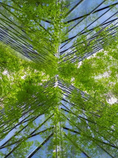 Sustainability