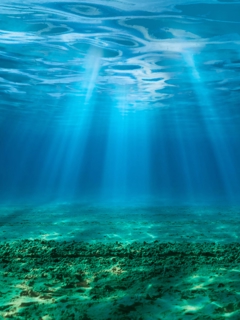 Maritime decarbonisation