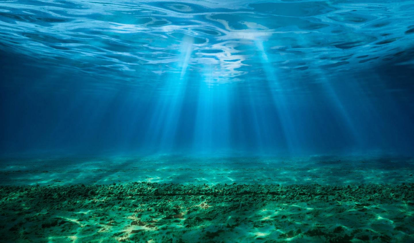 Maritime decarbonisation
