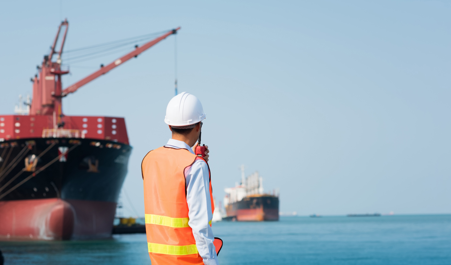 Seafarer at port