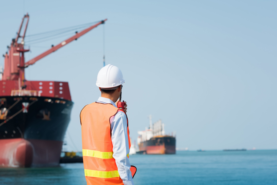 Seafarer at port