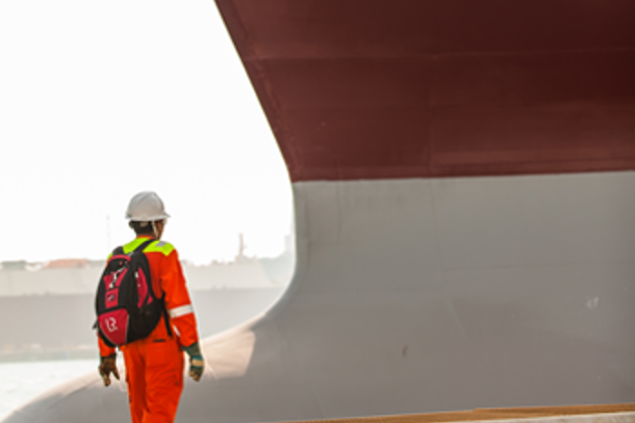 surveyor