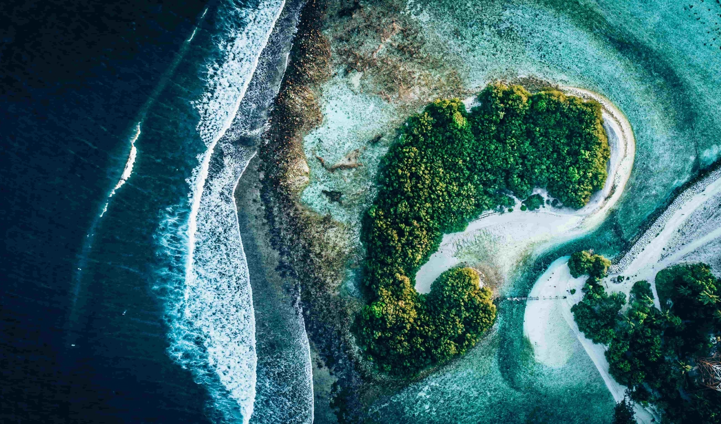 Aerial view of forest and sea.