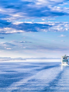 Cruise ship on open sea.
