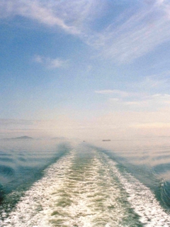 White wash from ships wake.