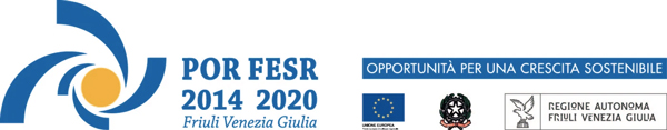Regional Operational Programme (2014-2020) of the Italian Region Friuli Venezia Giulia, Objective