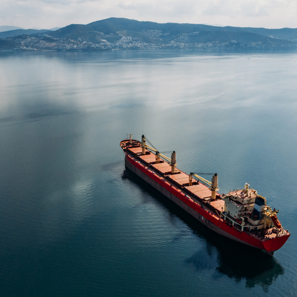 Bulk carrier