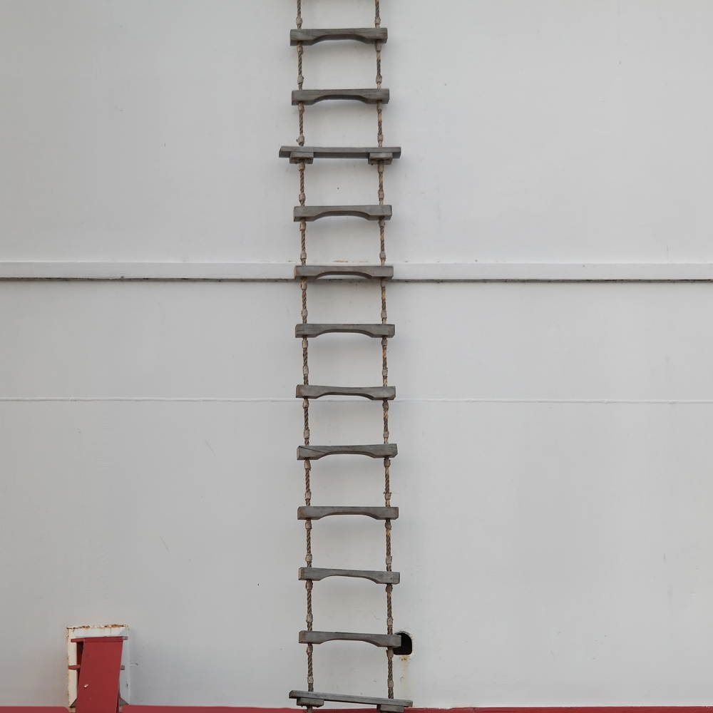 Pilot ladders