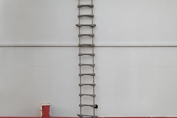 Pilot ladders