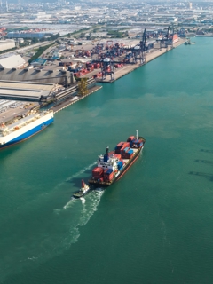 Ships at port