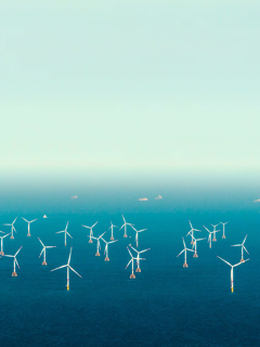 Offshore wind farm