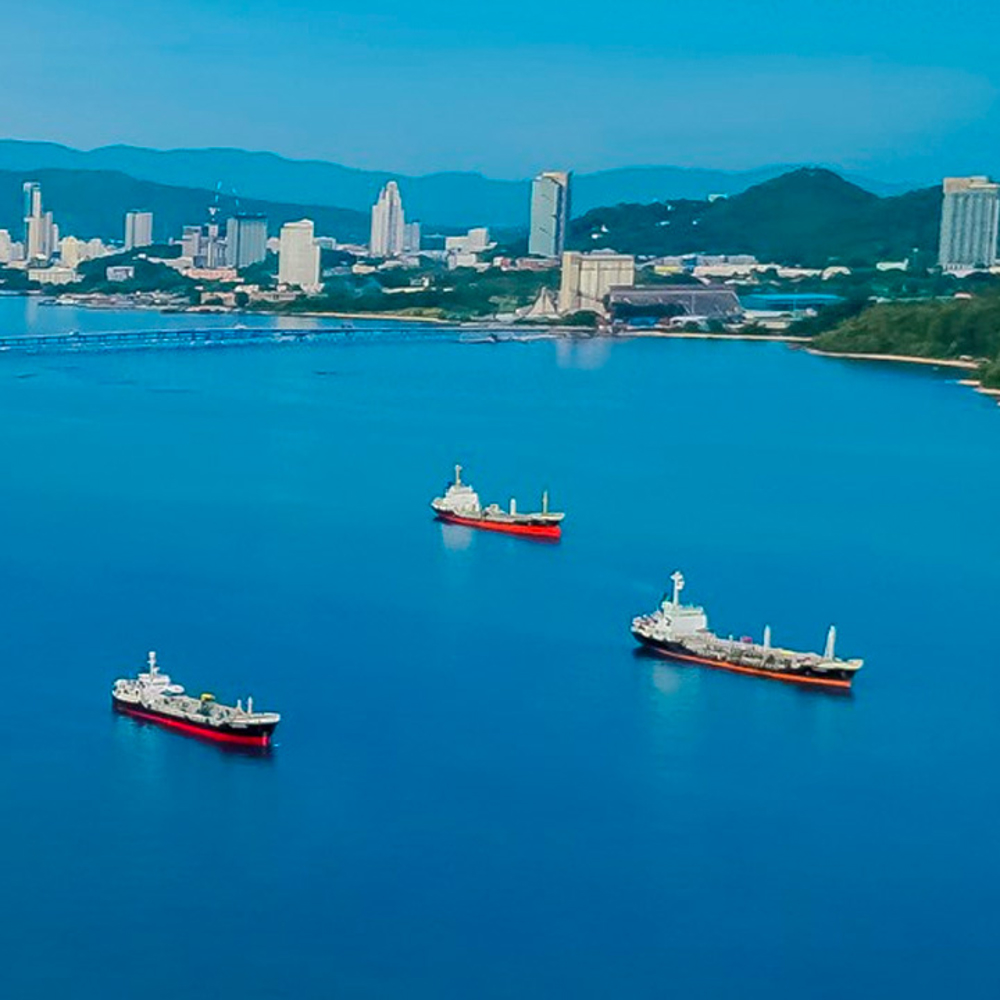 Ships docked in a bay