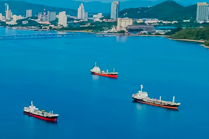 Ships docked in a bay