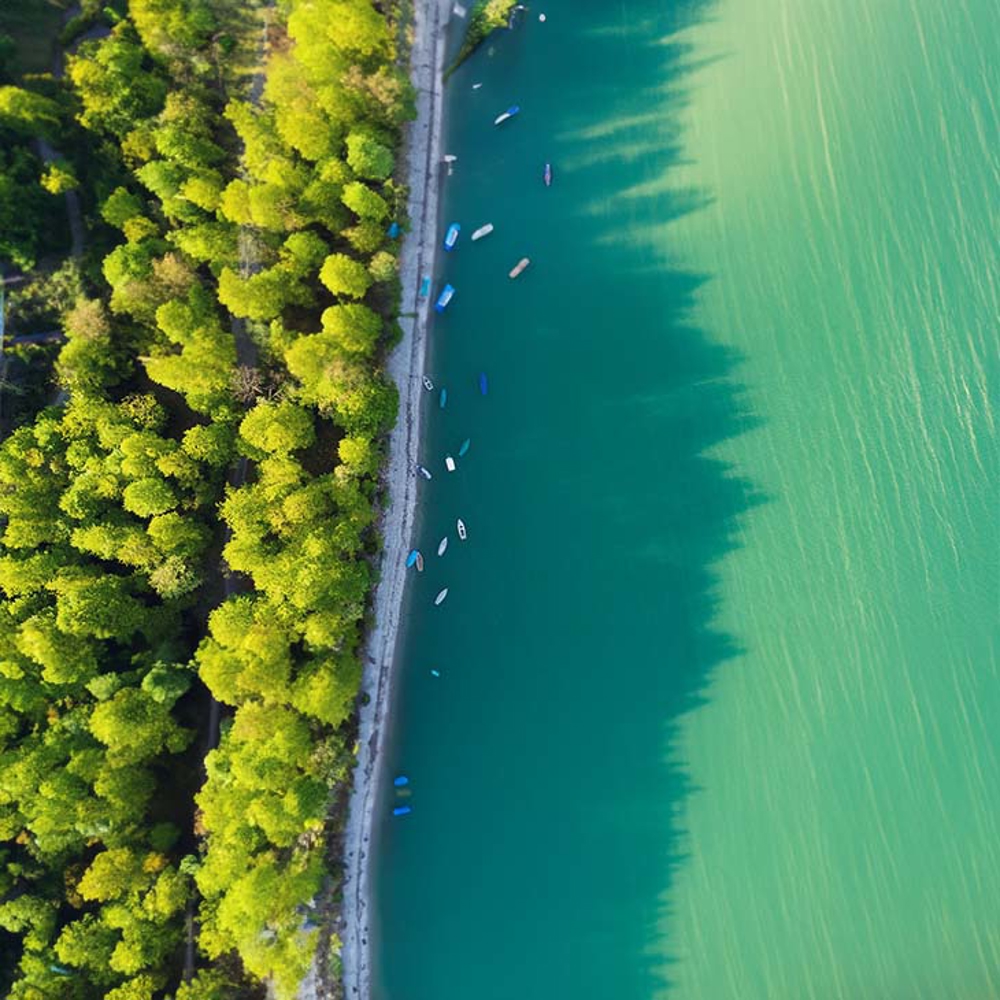 Birds eye view of sea meeting forest.