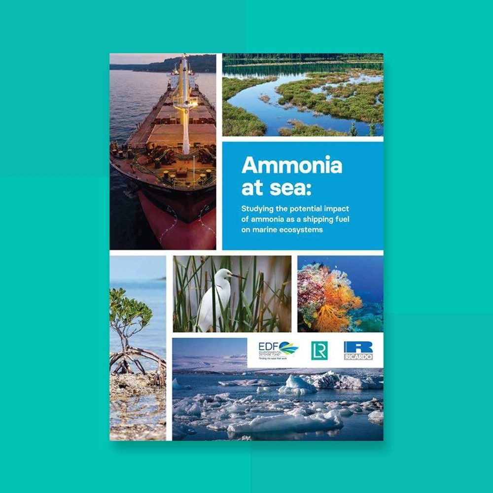 Ammonia at sea report cover