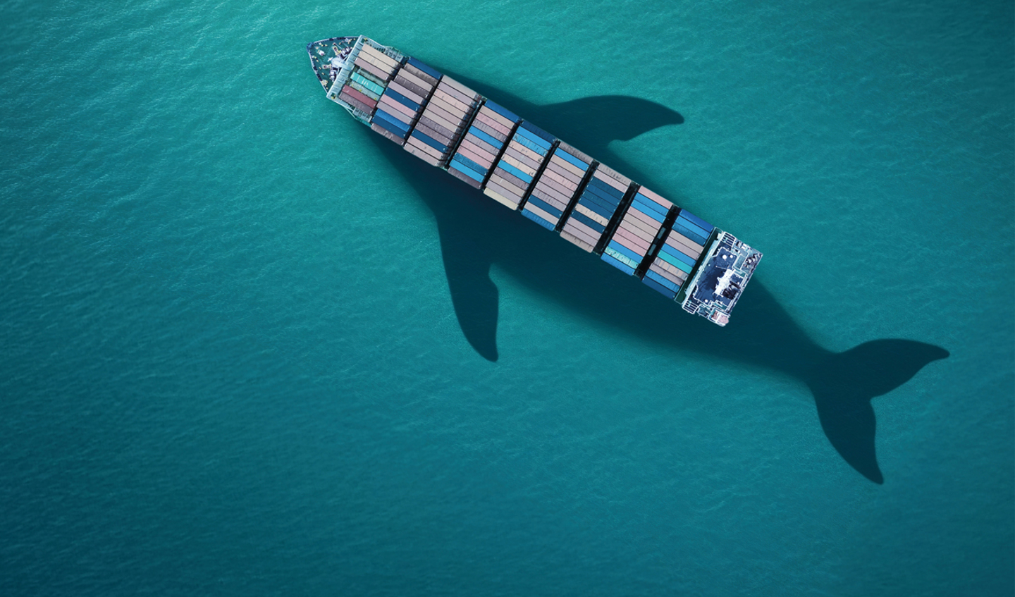 UNOC addresses shipping’s hidden impact on marine biodiversity – Lloyd’s Register